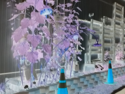 Bakery «Spring Garden Bakery & Coffee», reviews and photos, 1932 Spring Garden St, Greensboro, NC 27403, USA