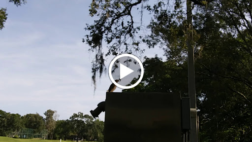 Golf Course «Babe Zaharias Golf Course», reviews and photos, 11412 Forest Hills Dr, Tampa, FL 33612, USA