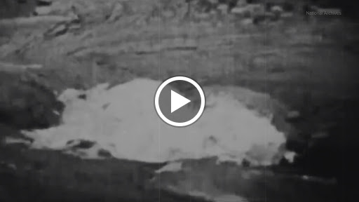 National Forest «Petrified Forest», reviews and photos