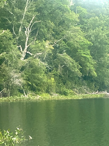 Park «Goodwill Park», reviews and photos, 416 Green St, Holliston, MA 02540, USA