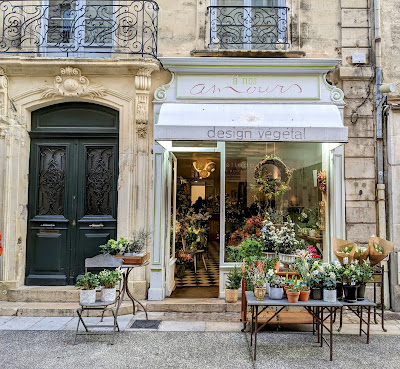 à nos amours, design végétal à Avignon