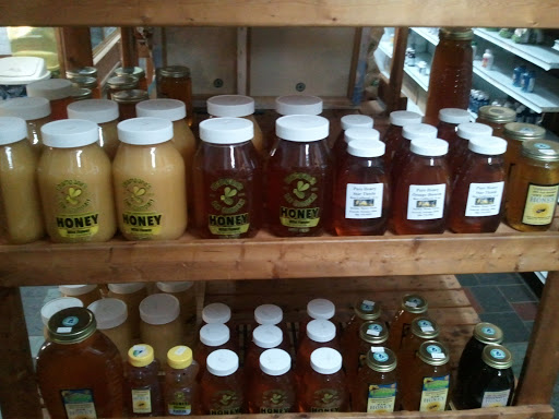 Raw Food Restaurant «Treehouse For Earths Children Holistic Center», reviews and photos, 22906 Mooney St, Farmington, MI 48336, USA