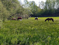 Haras du Cerisier Fougerolles-Saint-Valbert