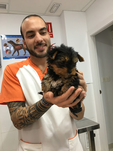 Clínica Veterinaria Guaudalupe en Guadalupe