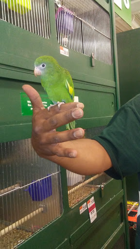 Pet Supply Store «Pet Supplies Plus», reviews and photos, 175 Memorial Ave, West Springfield, MA 01089, USA