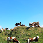 Photo n°4 de l'avis de Melania. fait le 19/08/2023 à 19:27 sur le  Chalet Novezza à Ferrara di Monte Baldo
