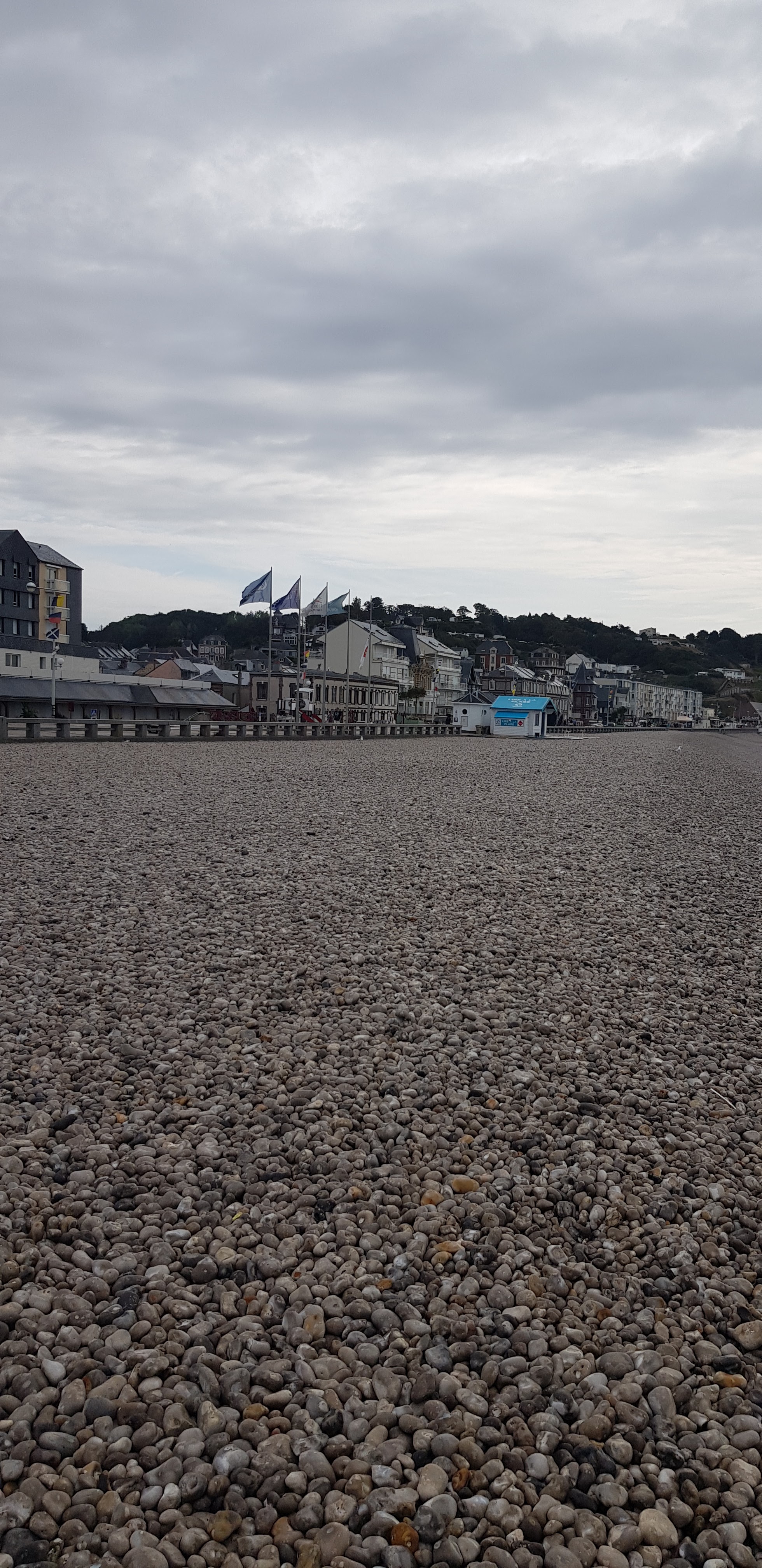 Photo n° 6 de l'avis de sia. fait le 13/09/2022 à 17:25