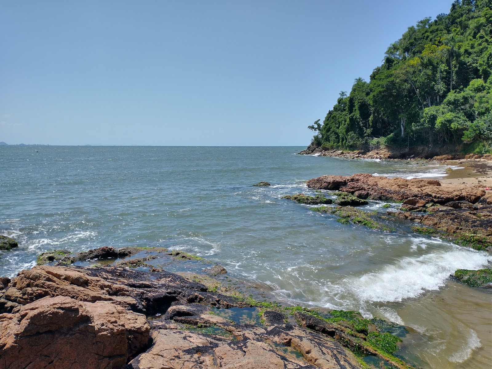 Foto de Praia do Bananal área selvagem