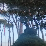 Photo n°2 de l'avis de Katarina.m fait le 20/01/2024 à 15:38 sur le  PINEWOOD HOTEL ROME à Rome