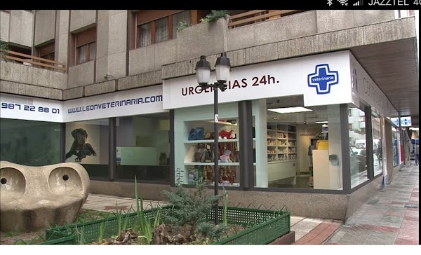 Clinica Veterinaria Centro León