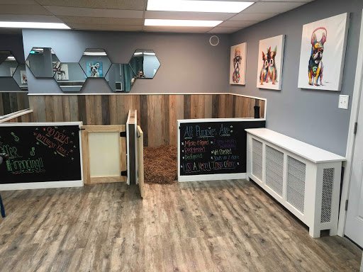 Dog Breeder «Playful Pets», reviews and photos, 115 Ridge Pike, Conshohocken, PA 19428, USA