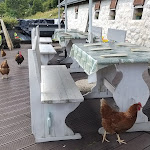 Photo n°2 de l'avis de Ariella.o fait le 27/08/2020 à 08:50 sur le  Malga Valli à Barcis