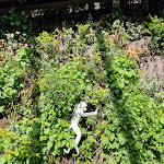 Photo n°10 de l'avis de Tanja.u fait le 05/06/2023 à 02:35 sur le  Me And All Hotel Ulm - JDV by Hyatt à Ulm