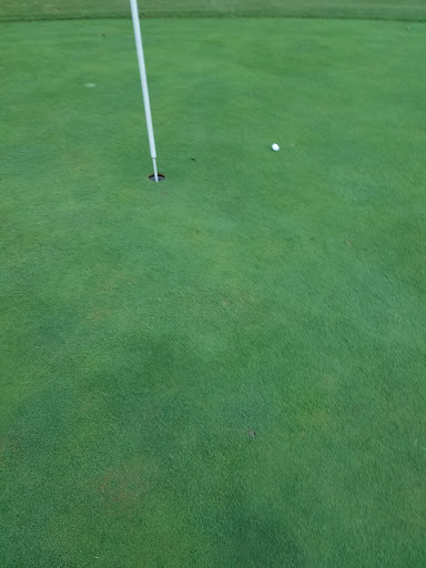 Golf Course «Meadow Lakes Golf Course», reviews and photos, 383 Adams Rd, Cedartown, GA 30125, USA