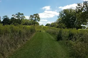 Forest Run MetroPark Timberman Ridge Area image