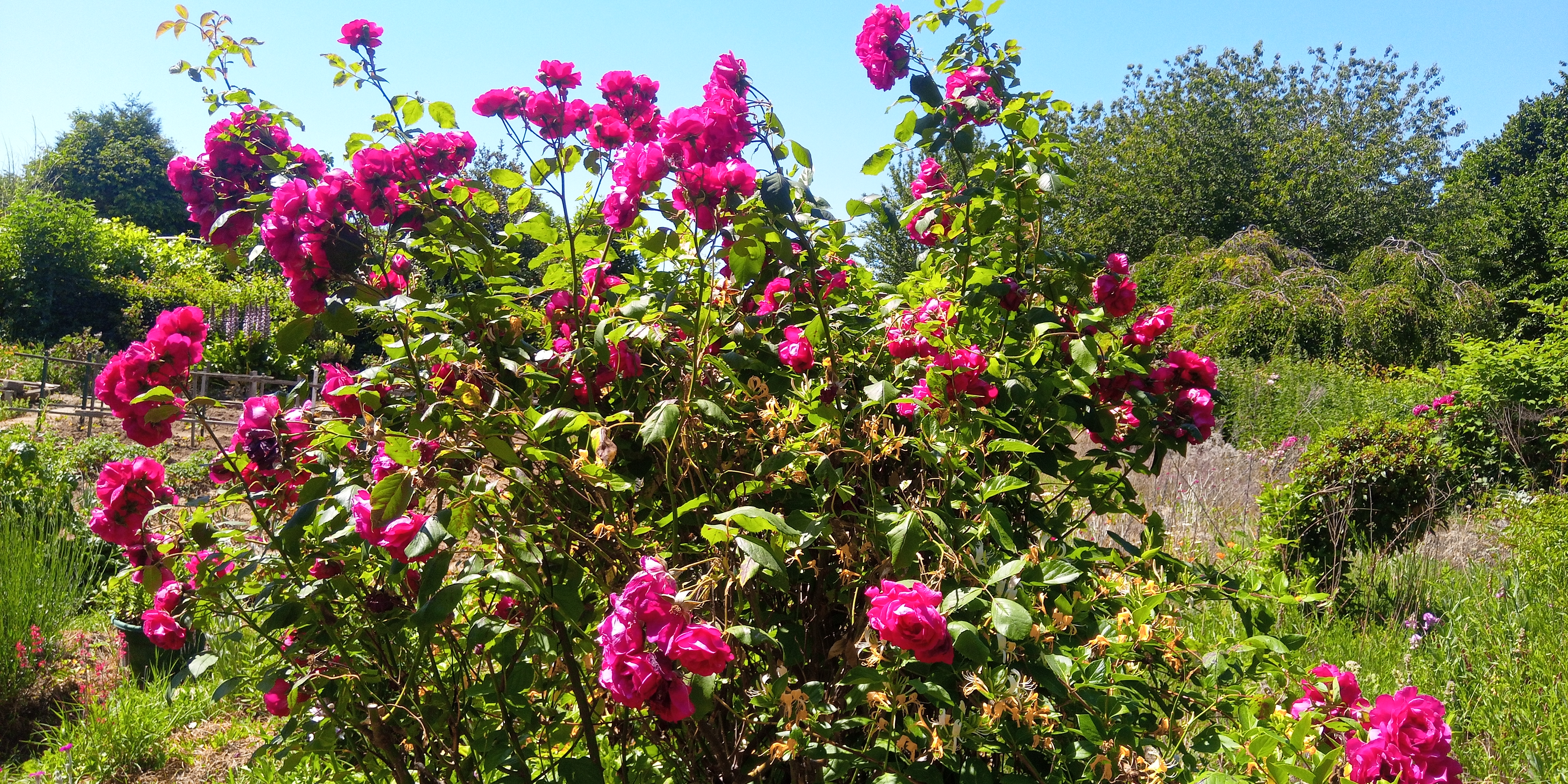 Photo n° 4 de l'avis de Didier.a fait le 29/05/2020 à 14:18