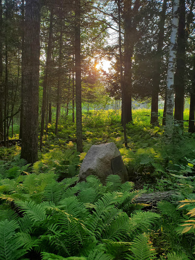 Tourist Attraction «Mystery Spot», reviews and photos, N916 Martin Lake Rd, St Ignace, MI 49781, USA