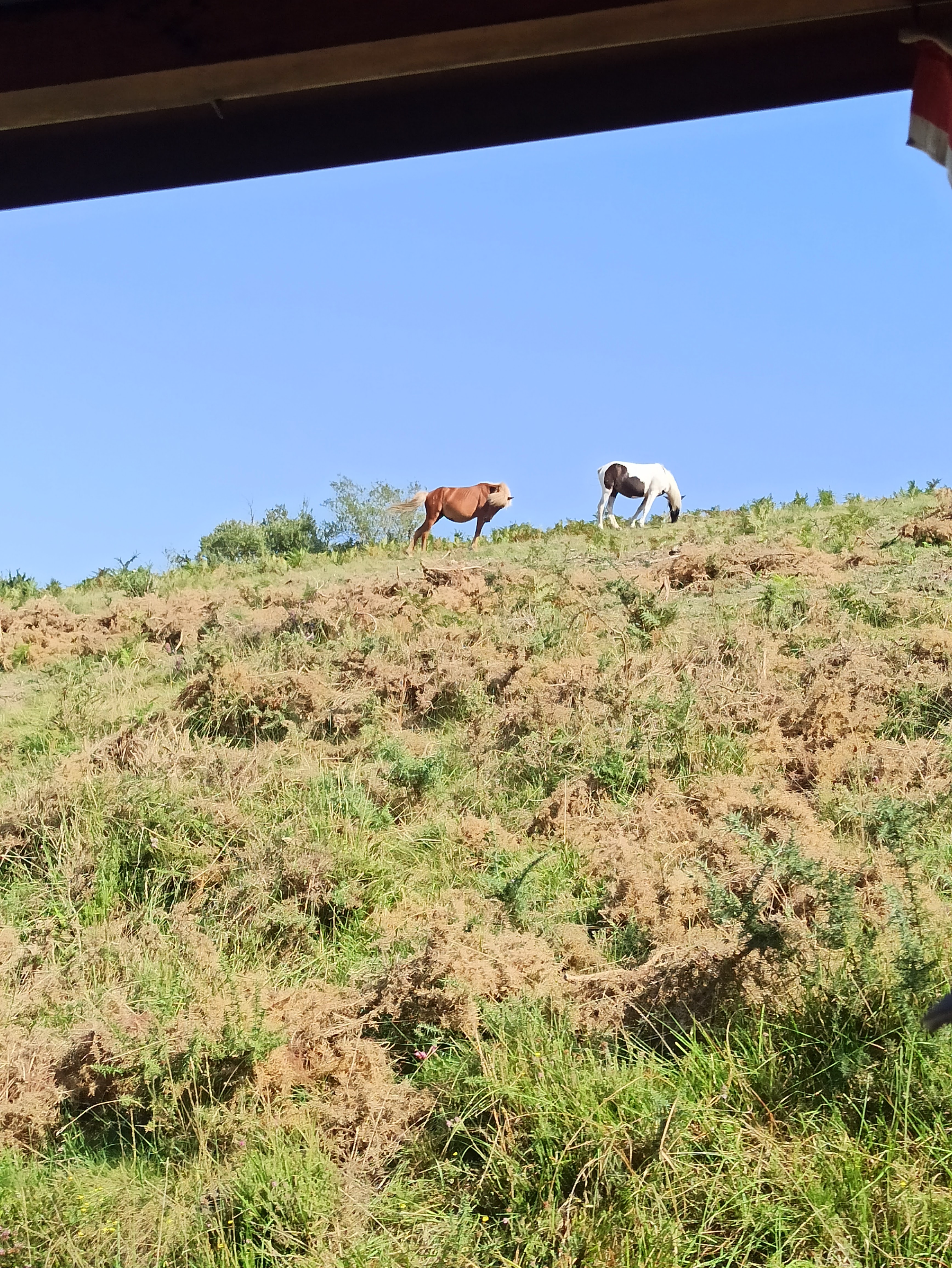 Photo n° 2 de l'avis de coralie.h fait le 14/08/2022 à 15:57
