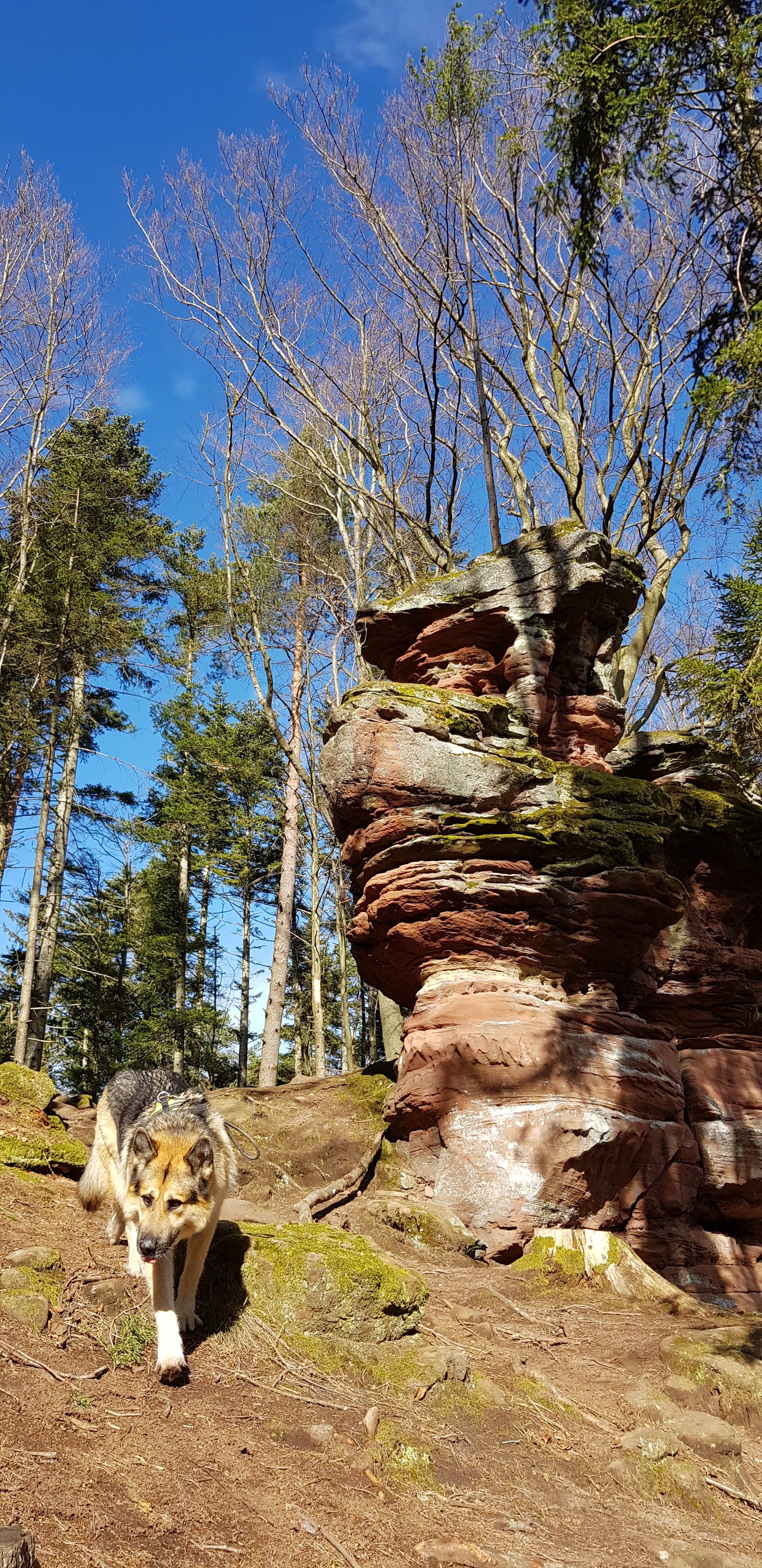 Photo n° 7 de l'avis de W. fait le 23/02/2020 à 12:18