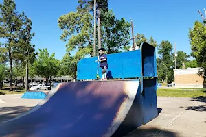 Dylan Duncan Skatepark image