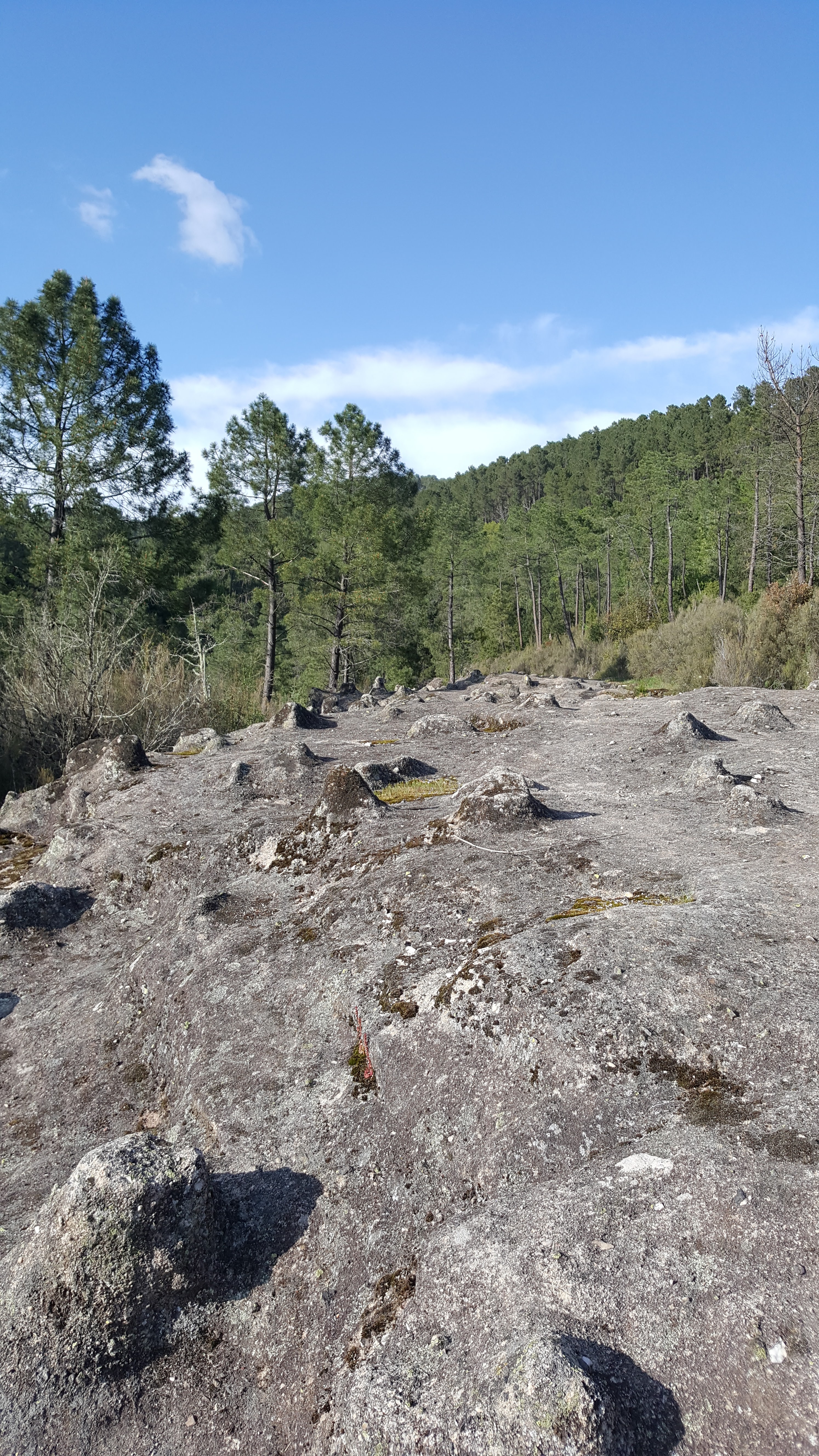 Photo n° 2 de l'avis de Michaël.s fait le 02/05/2018 à 19:39