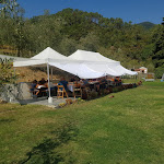 Photo n°1 de l'avis de Andrea.r fait le 12/09/2021 à 11:25 sur le  Azienda Agricola L'Annunziata à Luni