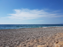Paralia Kartelas'in fotoğrafı vahşi alan