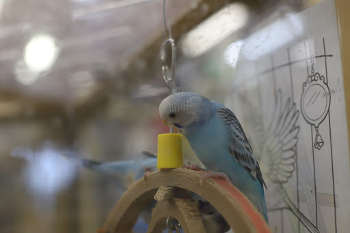 Pet Supply Store «Pet Supermarket», reviews and photos, 150 W Lowry Ln #180, Lexington, KY 40503, USA