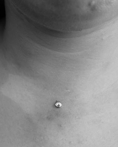 Explore snake tattoo idea, creative tattoo ideas in Albuquerque, available at Staceys Exotic Body Piercing and Tattoo