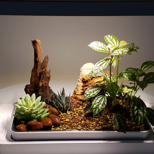 Pet Supply Store «Central Garden & Pet Co», reviews and photos, 13227 Orden Dr, Santa Fe Springs, CA 90670, USA