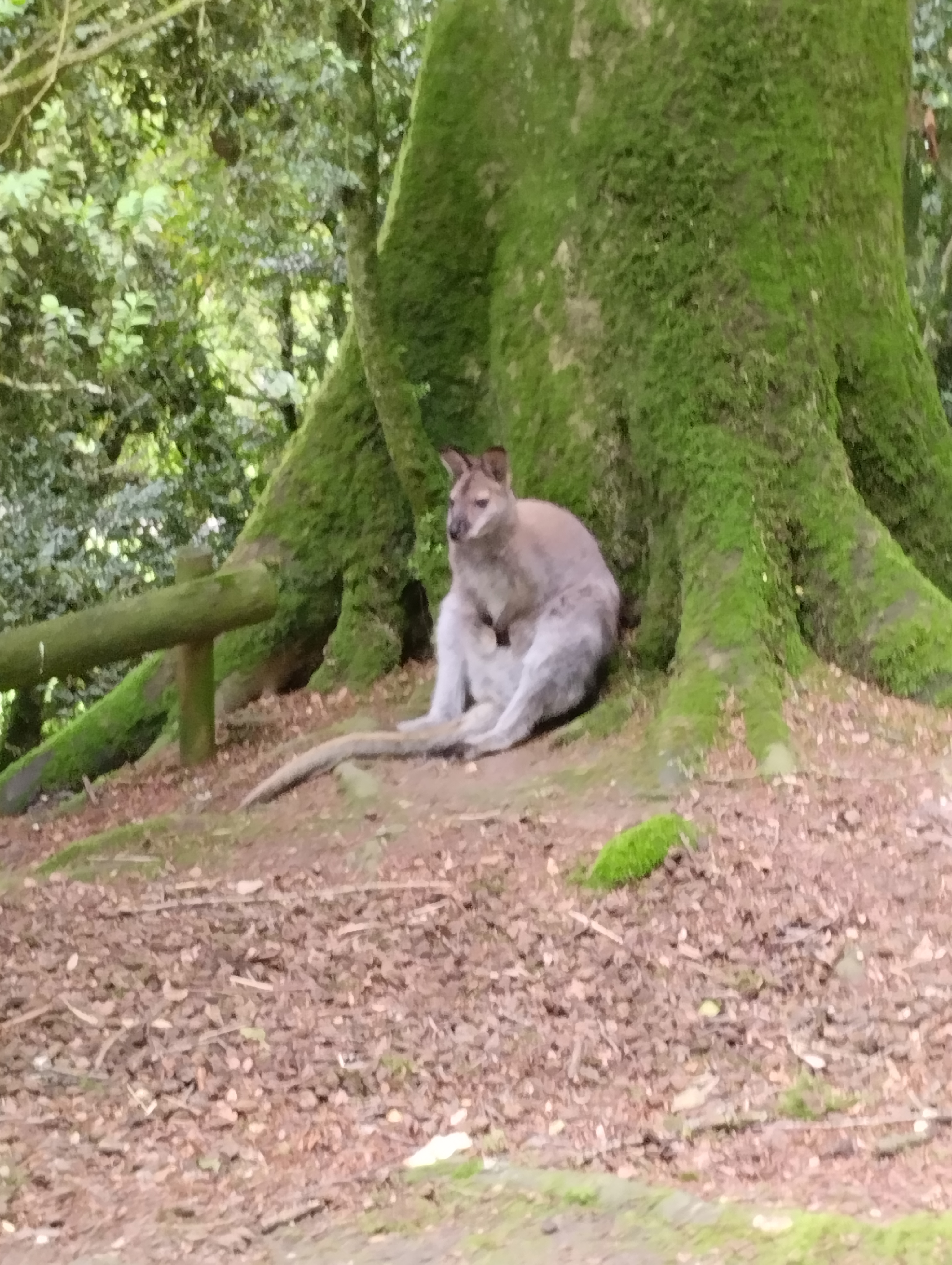 Photo n° 1 de l'avis de Christel.a fait le 04/08/2023 à 19:14