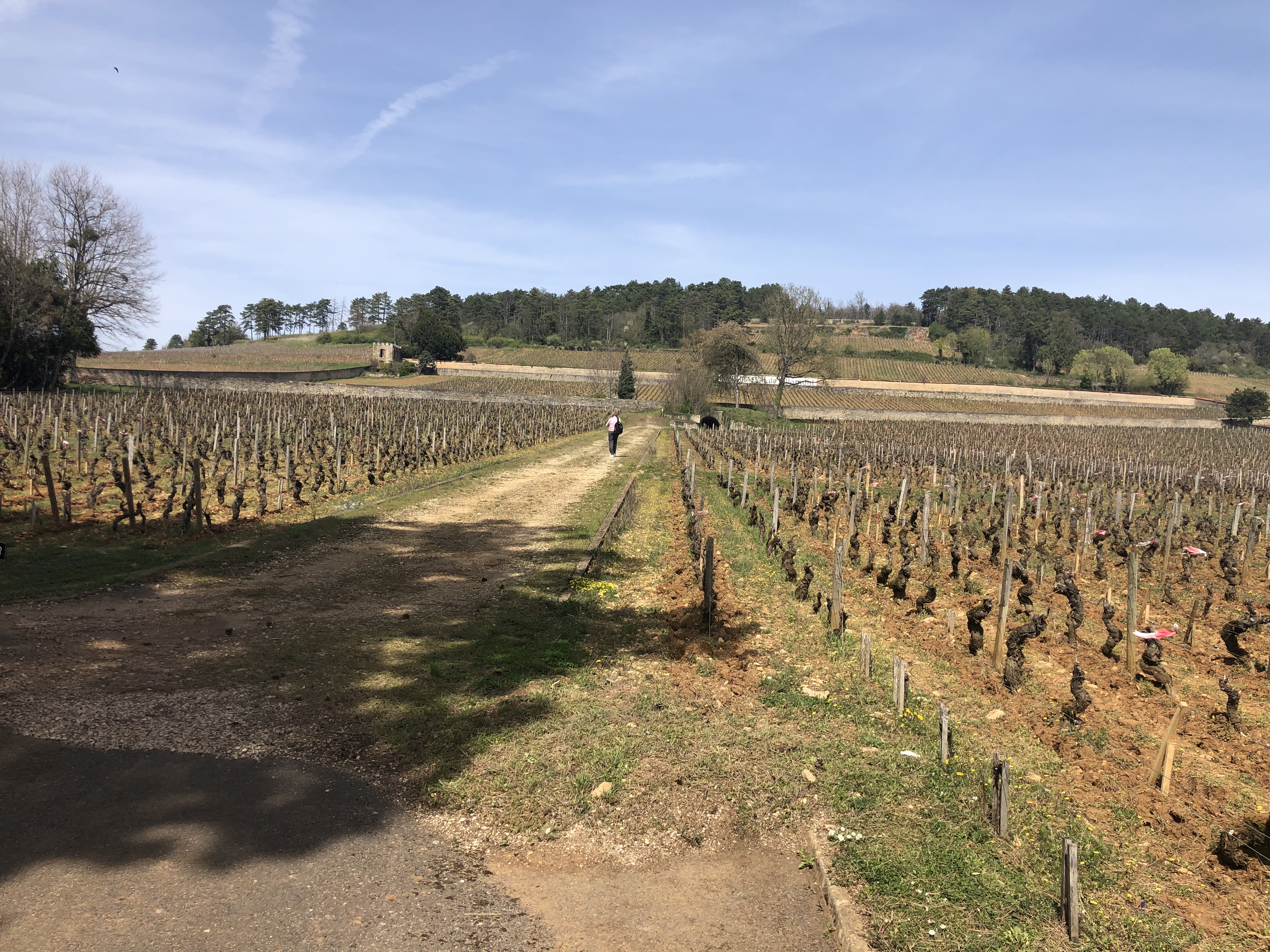 Photo n° 2 de l'avis de Len.a fait le 12/04/2022 à 18:43