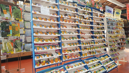 Garden Center «Dees Nursery & Florist», reviews and photos, 69 Atlantic Ave, Oceanside, NY 11572, USA