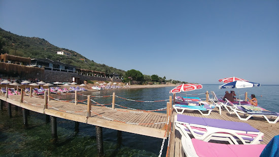 Kotti beach