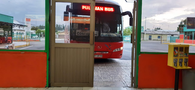 Opiniones de Rodoviario Santa Catalina en Cabrero - Servicio de transporte