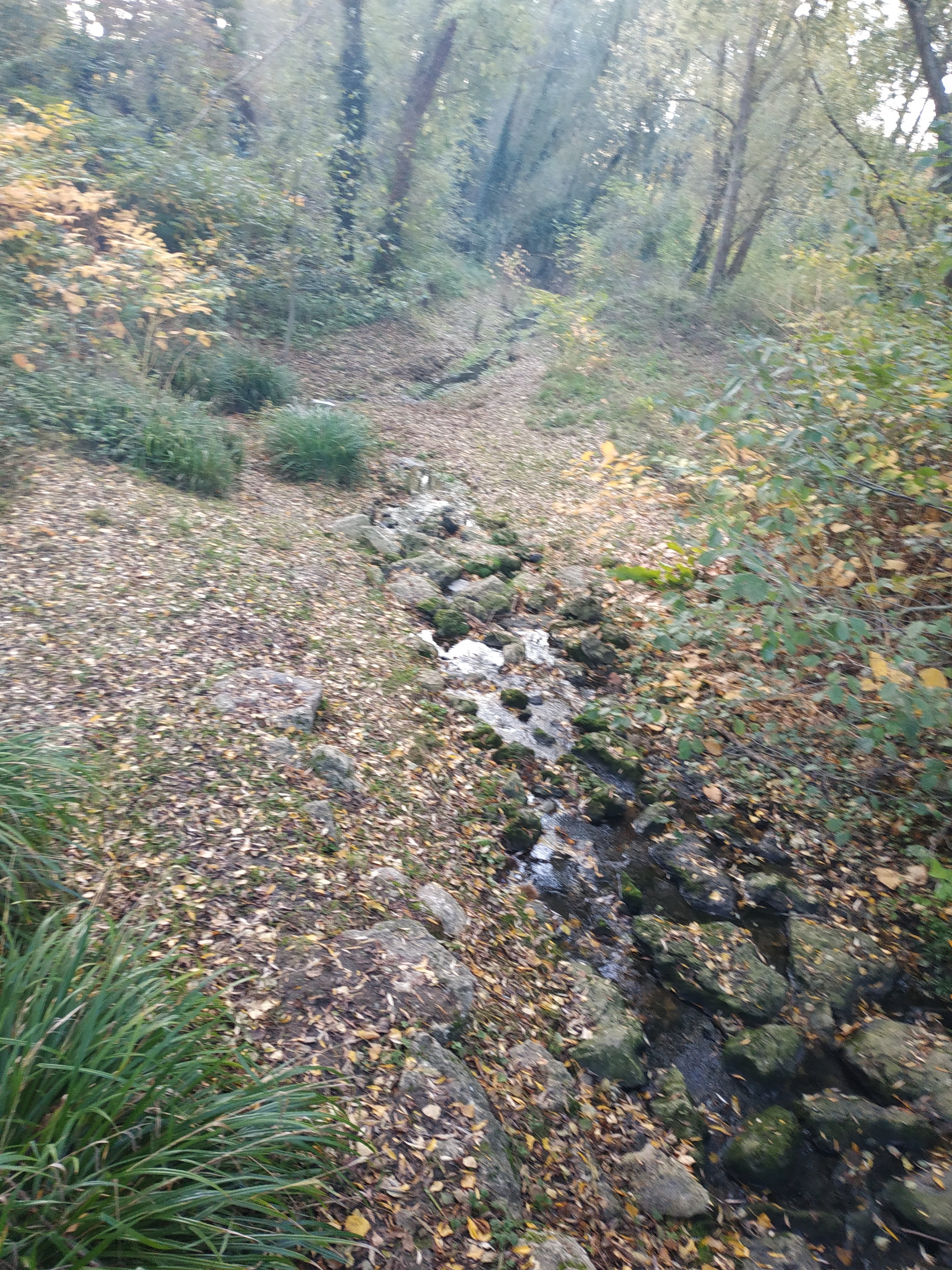 Photo n° 1 de l'avis de Alix. fait le 11/11/2020 à 17:02