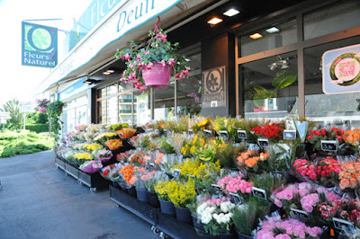 Fleurs Ô Naturel à Saint-Cyr-sur-Loire