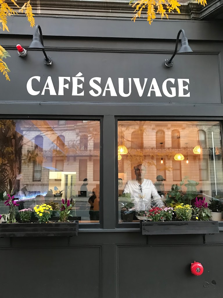 Cafe sauvage 02115