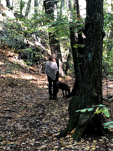 State Park «Wilson Mountain Reservation», reviews and photos, 384 Common St, Dedham, MA 02026, USA