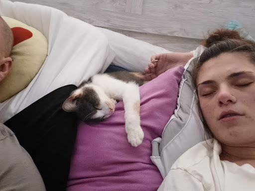 Pet Supply Store «Pet Supplies Plus», reviews and photos, 911 N Cable Rd a, Lima, OH 45805, USA