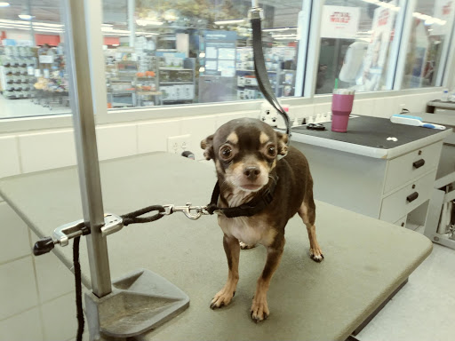 Pet Supply Store «Petco Animal Supplies», reviews and photos, 2434 W Brandon Blvd, Brandon, FL 33511, USA