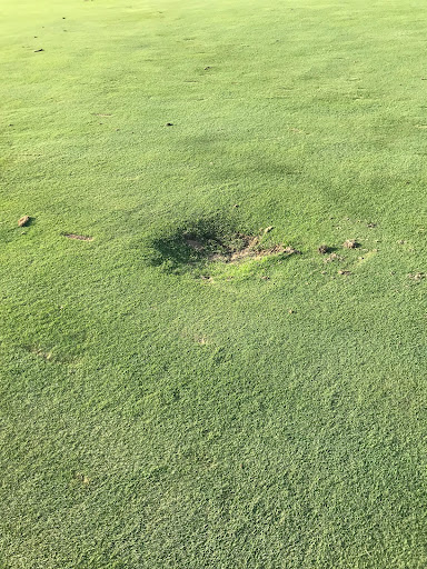 Golf Course «Harborside International Golf Center», reviews and photos, 11001 S Doty Ave, Chicago, IL 60628, USA