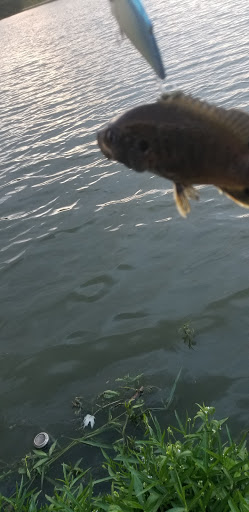 Park «Red Bridge Park», reviews and photos, 697 W Jackson St, Cicero, IN 46034, USA