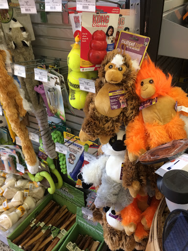 Hardware Store «Maitland Ace Hardware», reviews and photos, 1607 S Orlando Ave, Maitland, FL 32751, USA