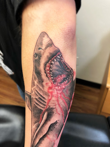 Explore luna moth tattoo ideas, creative tattoo ideas in Amarillo, available at Tattoo Spa LLC