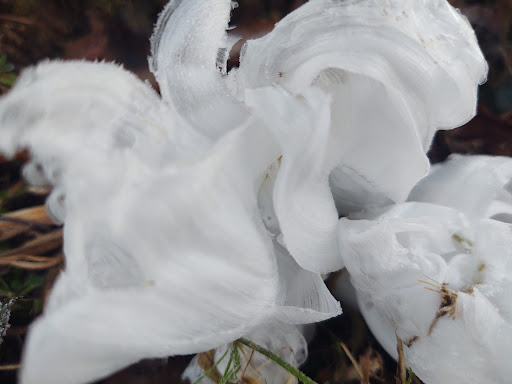 National Park «Stones River National Battlefield», reviews and photos, 3501 Old Nashville Hwy, Murfreesboro, TN 37129, USA