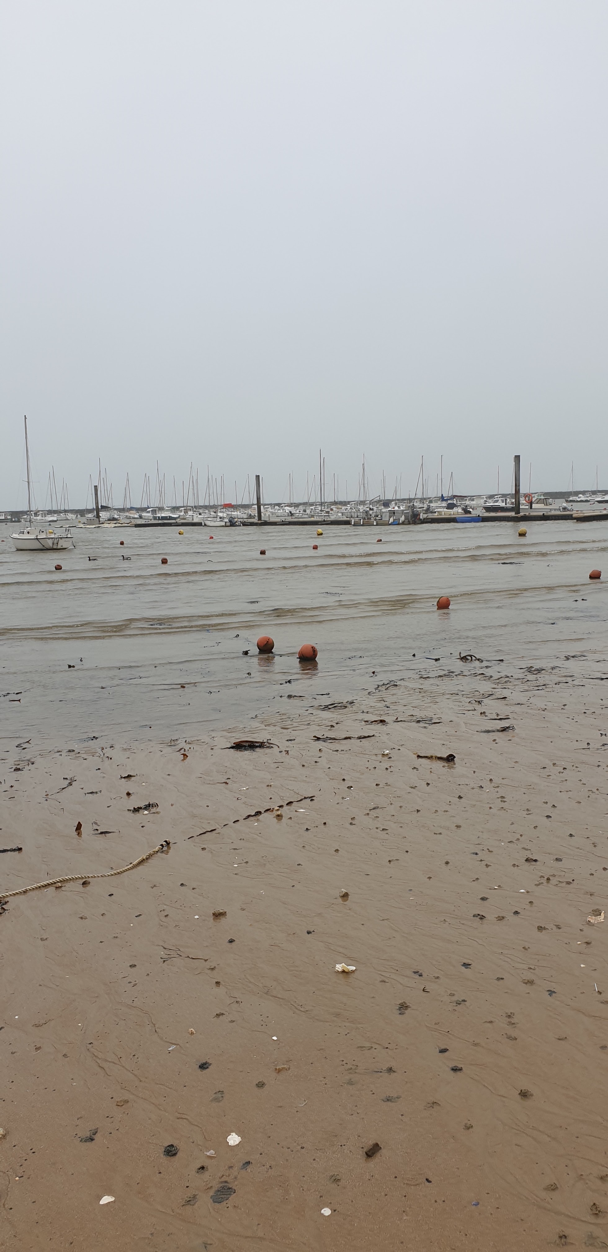 Photo n° 1 de l'avis de Christelle.a fait le 23/02/2020 à 21:08