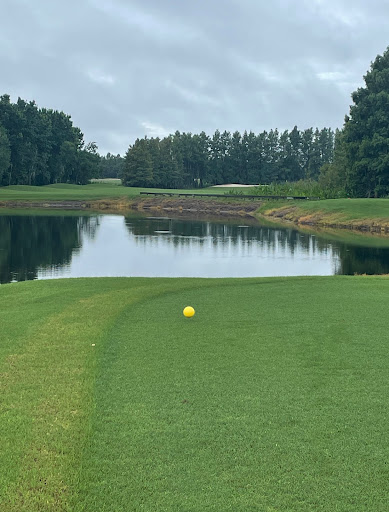 Golf Course «Deer Island Country Club», reviews and photos, 18000 Eagles Club House Way, Tavares, FL 32778, USA