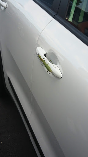 Car Dealer «Kia of Greenville», reviews and photos, 2424 Laurens Rd, Greenville, SC 29607, USA