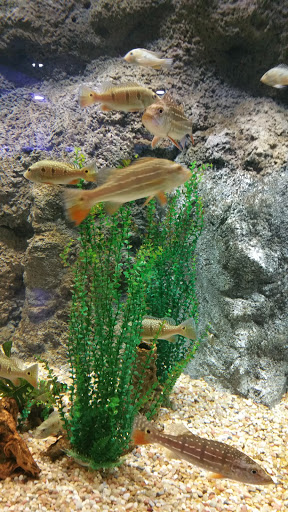 Tourist Attraction «OdySea Mirror Maze», reviews and photos, 9500 East Vía de Ventura #200, Scottsdale, AZ 85256, USA